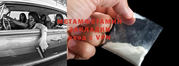 прущие грибы Карпинск