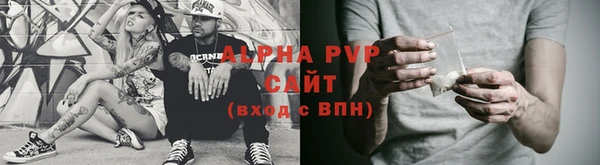 прущие грибы Карпинск