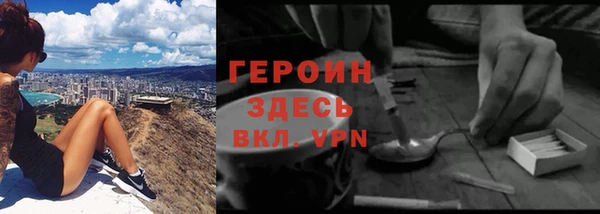прущие грибы Карпинск