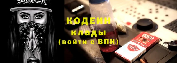 прущие грибы Карпинск