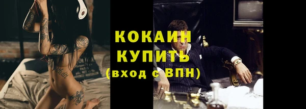 прущие грибы Карпинск