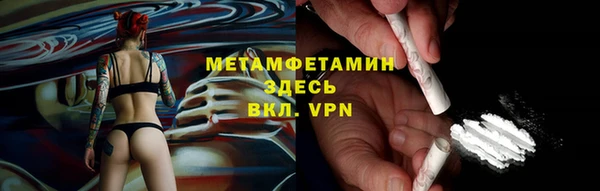 прущие грибы Карпинск