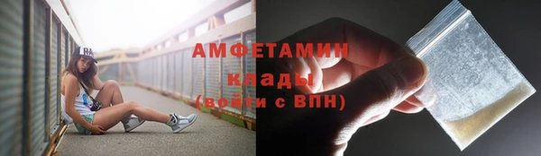 прущие грибы Карпинск