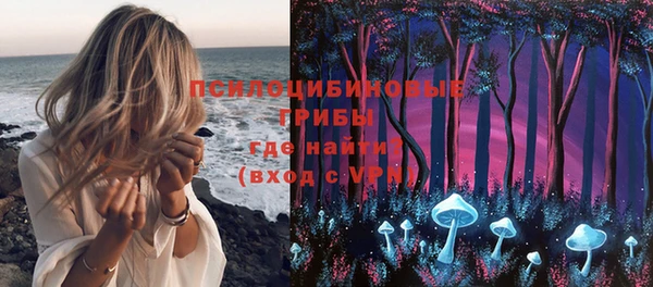 прущие грибы Карпинск