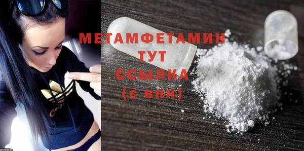 прущие грибы Карпинск