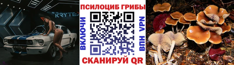 Галлюциногенные грибы MAGIC MUSHROOMS Купить где Кизилюрт